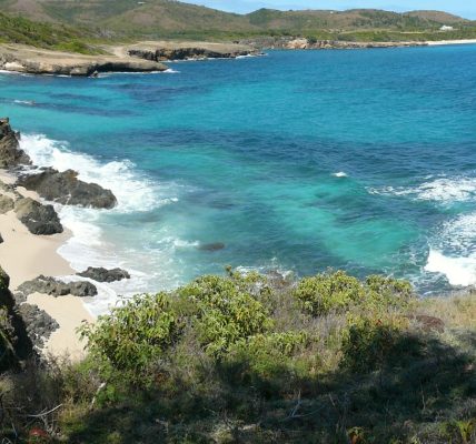 Découvrez nos conseils pour une location de voiture réussie en Martinique