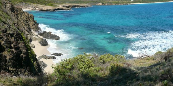 Découvrez nos conseils pour une location de voiture réussie en Martinique